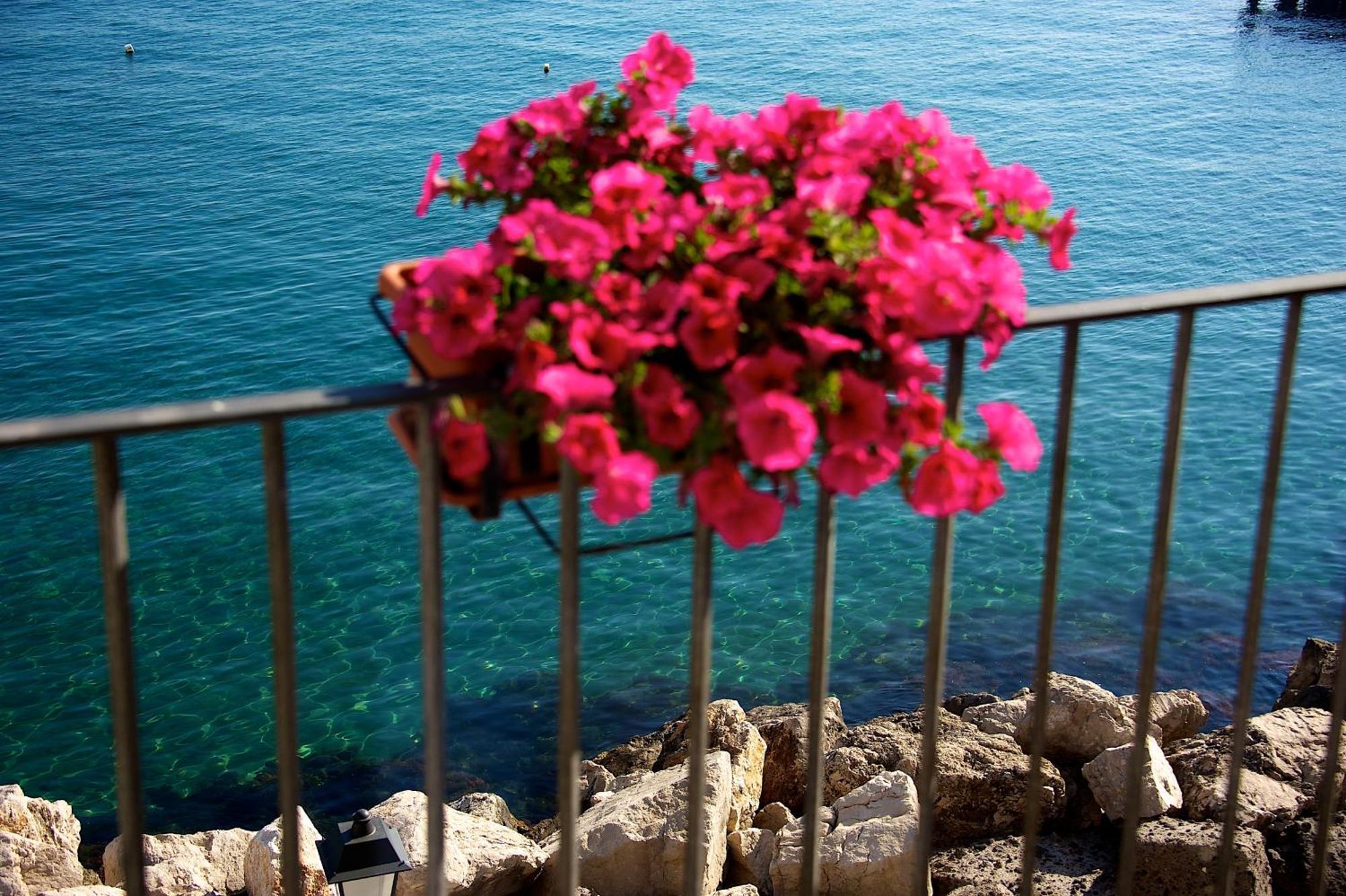 Villa Lieta Ischia Dış mekan fotoğraf